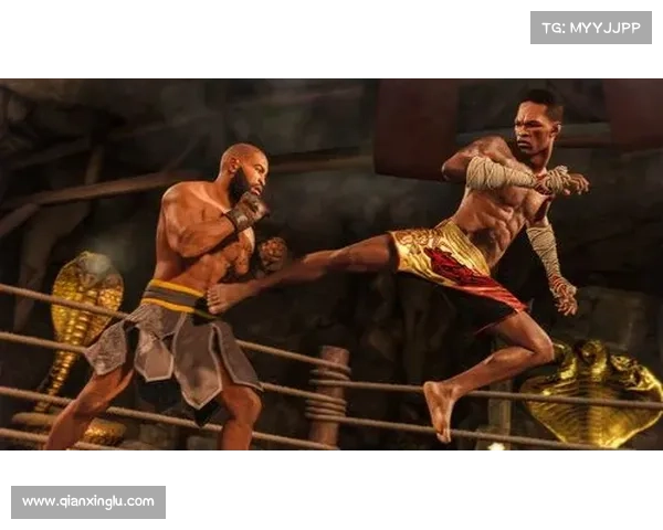 终极格斗赛事回拨_终极格斗锦标赛